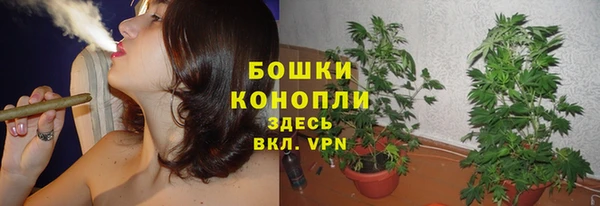 apvp Заводоуковск