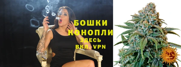 молекула духа Богородск