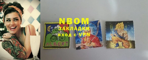 apvp Бородино
