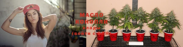 молекула духа Богородск