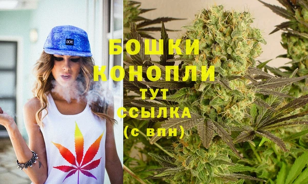 молекула духа Богородск