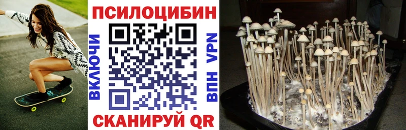 Галлюциногенные грибы Psilocybine cubensis  МЕГА рабочий сайт  Кола 